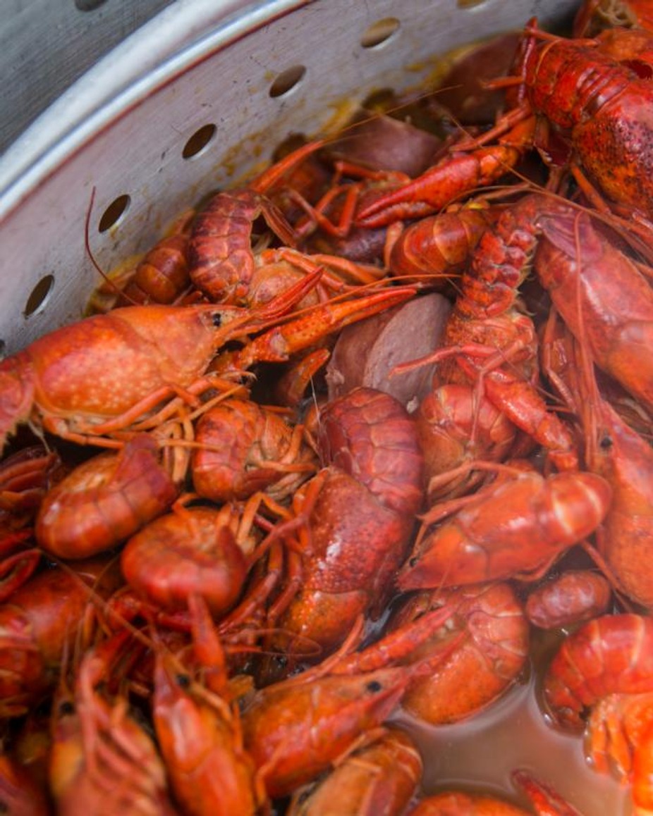 CRAWFISH! by Roux Licious event photo