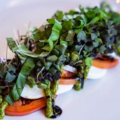 Caprese Salad served, closeup
