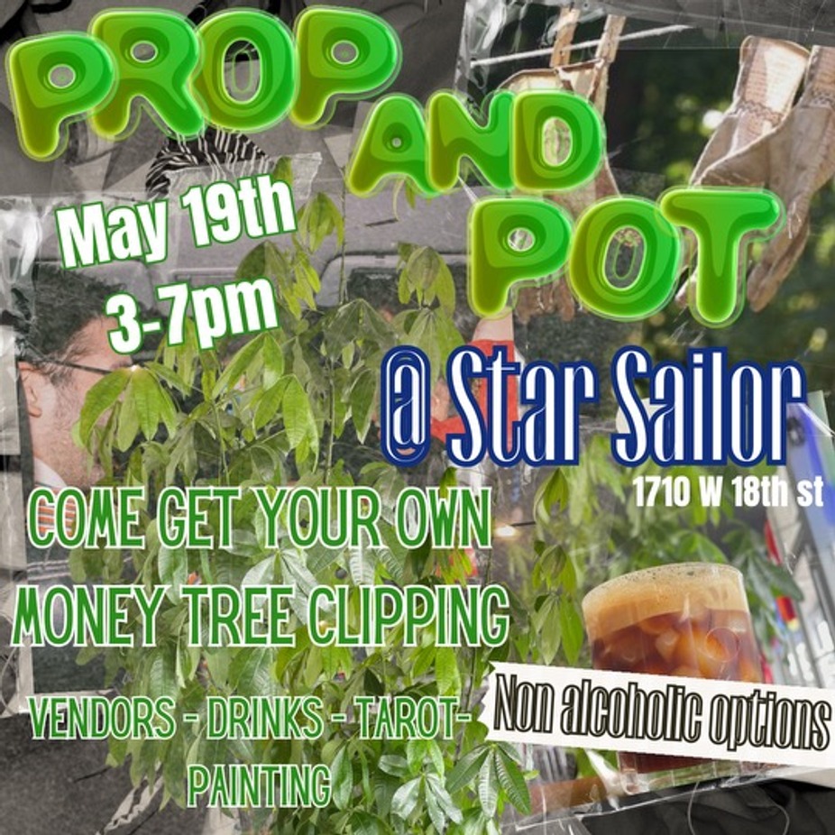 Prop & Pot - ft the Star Sailor Money Tree event photo