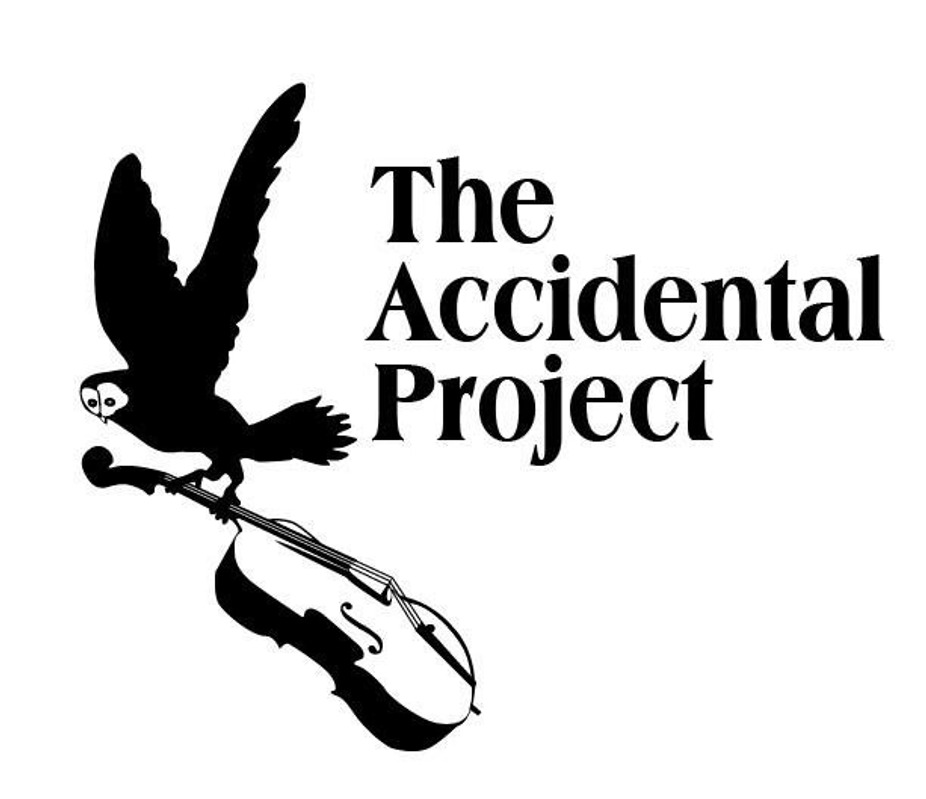 The Accidental Project event photo