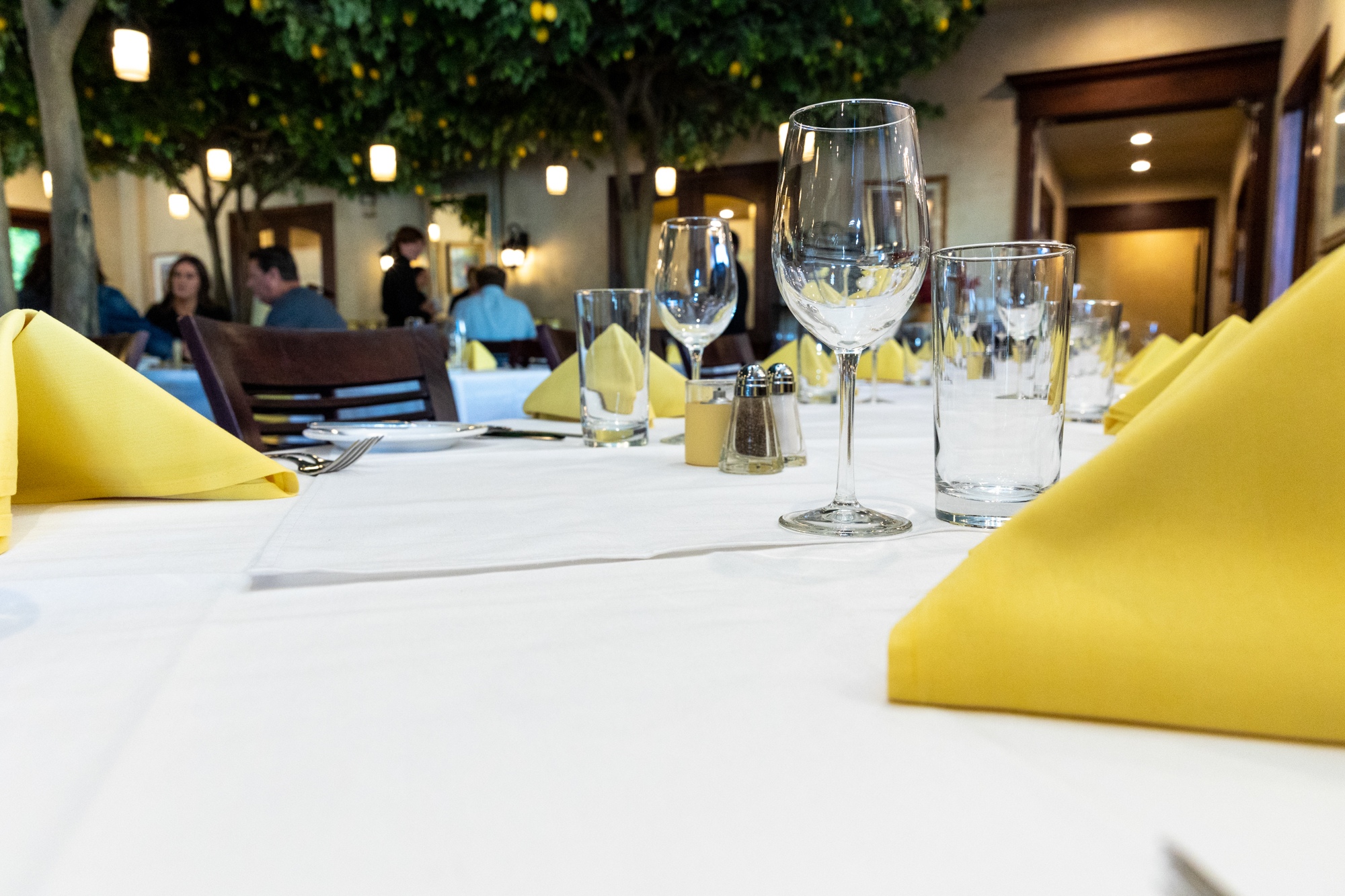La Jolla Groves - Business Photo