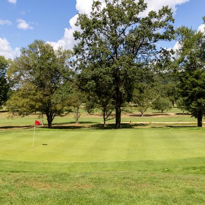 gallery photo number 4