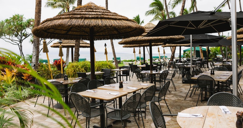 Outdoor dining area with tables and chairs under thatched umbrellas surrounded by palm trees