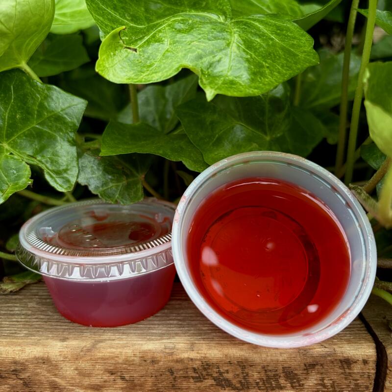 Infused Jell-O Shots photo