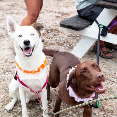 gallery photo number 28