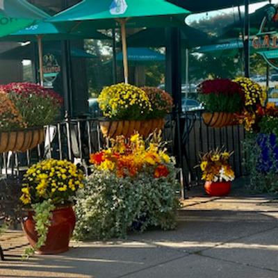 red yellow orange fall flowers on our patio with outdoor tables and umbrellas creating an enticing atmosphere.