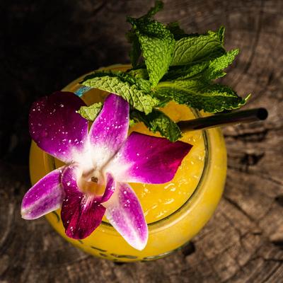 gallery photo number 14