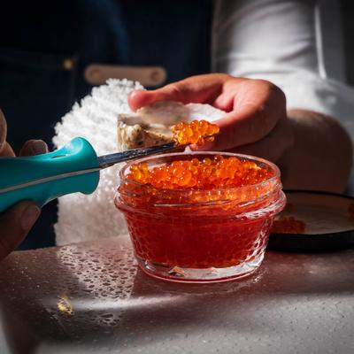 Dish preparing, closeup