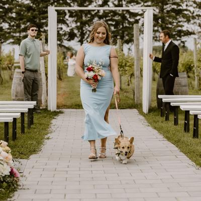 Bridesmaid and Corgi walking down the ceremony aisle at Next Chapter Winery.