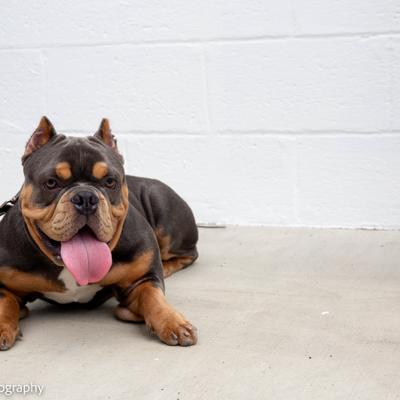 gallery photo number 25