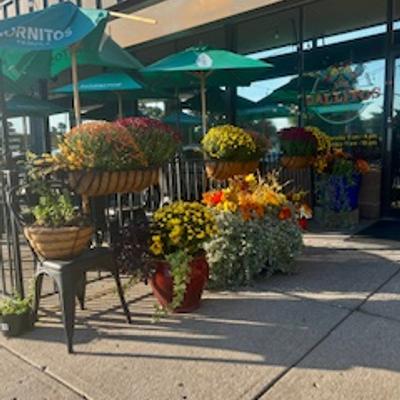 red yellow orange fall flowers on our patio with outdoor tables and umbrellas creating an enticing atmosphere.