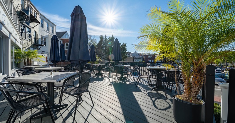 Exterior, patio, tables and chairs with parasols, wooden decking, potted palm tree
