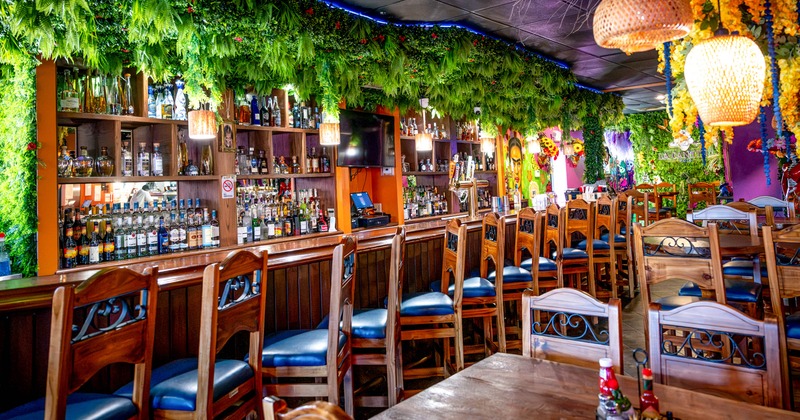 Colorfully decorated restaurant bar with liquor shelves, abundant hanging greenery