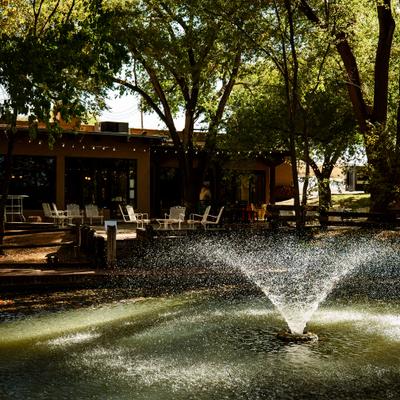 gallery photo number 15