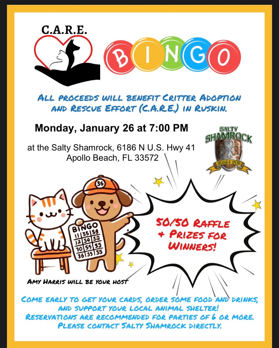 Bingo for CARE event photo