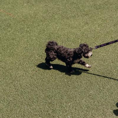 gallery photo number 16