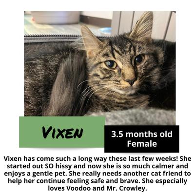 gallery photo number 3