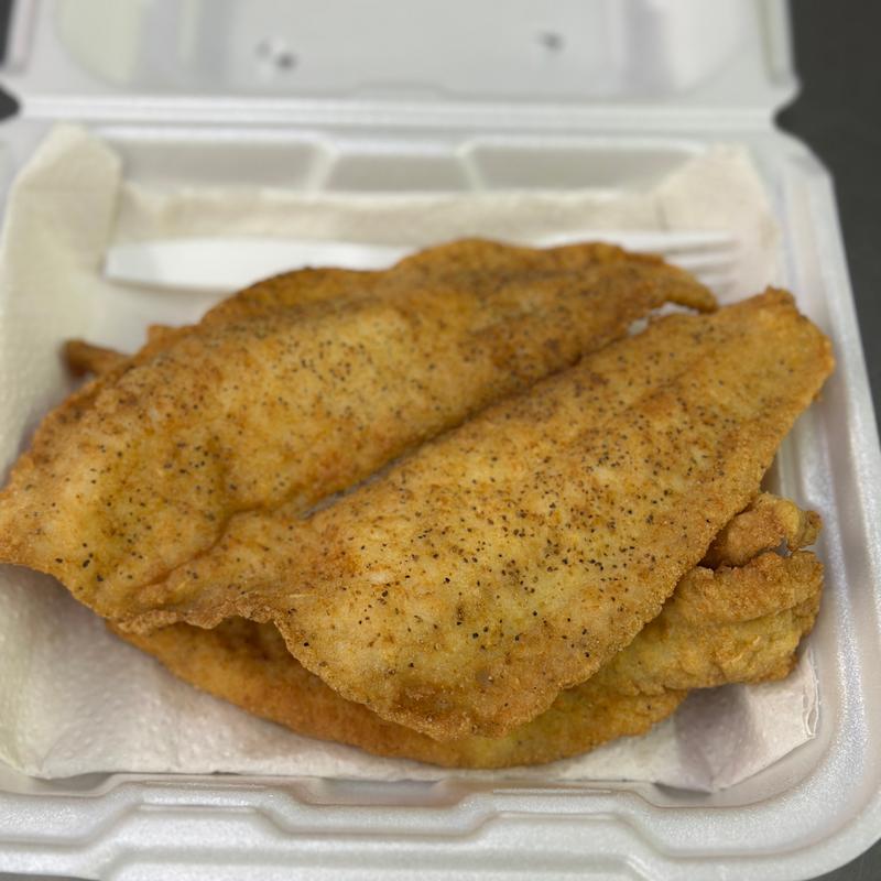 Flounder photo
