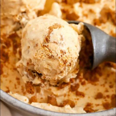 Close-up of creamy, caramel-colored ice cream with crumbly brown toppings.