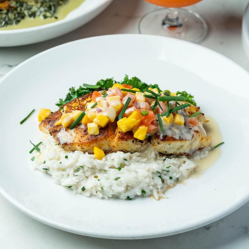 Texas Gulf Snapper photo