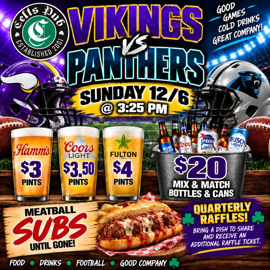 Vikings vs Panthers event photo