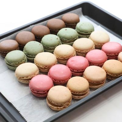 gallery photo number 10