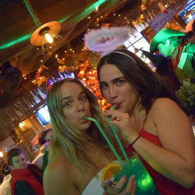 gallery photo number 416