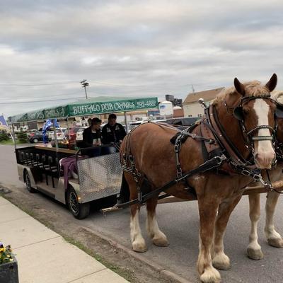 gallery photo number 6