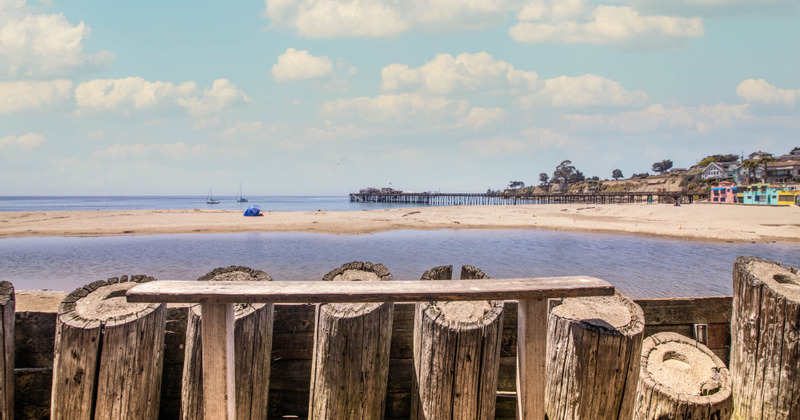 Exterior, view from the patio