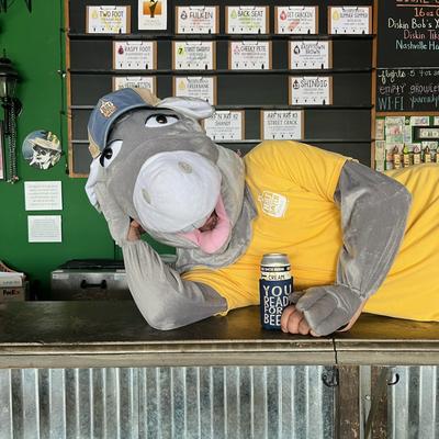 gallery photo number 6