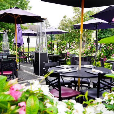 gallery photo number 16