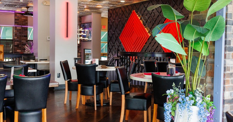 Interior, dining area, round tables for four, plant decoration, wood flooring