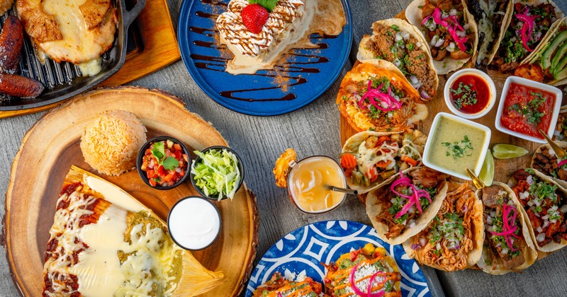 Assortment of dishes including tacos with various toppings, tamale dish, and fried ice cream