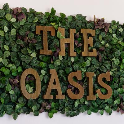 The Oasis 3D lettering on a plant wall.