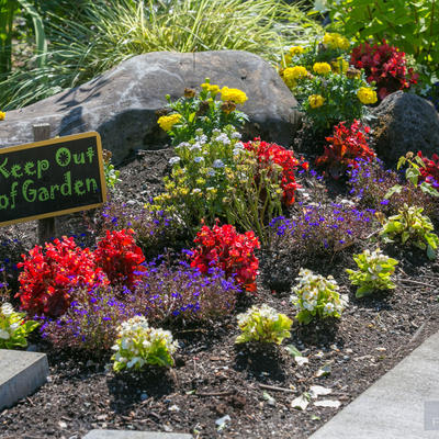 Keep of the garden sign, flower garden