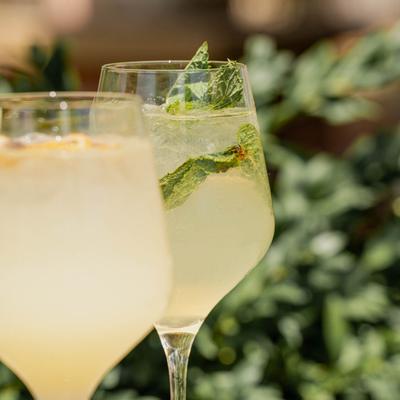 gallery photo number 20