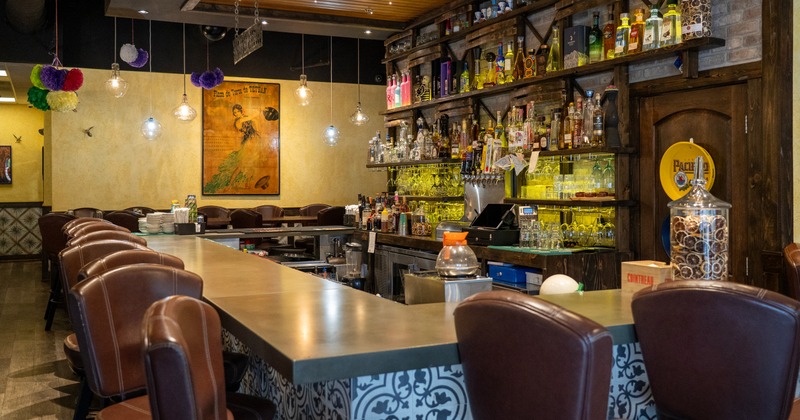Interior, bar with leather chairs