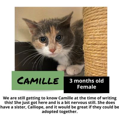 gallery photo number 7