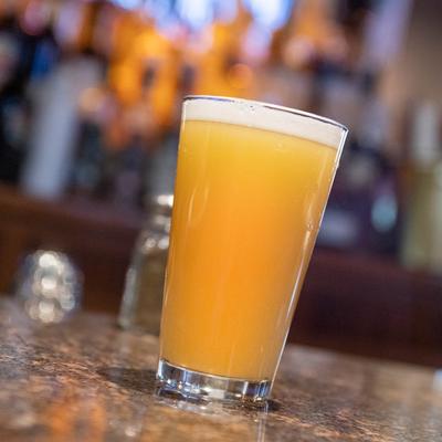 gallery photo number 23