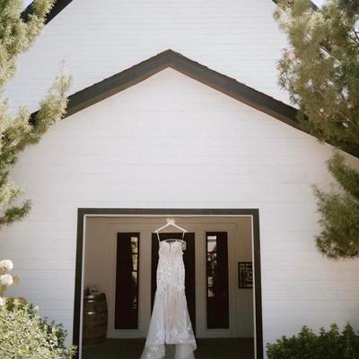 gallery photo number 244