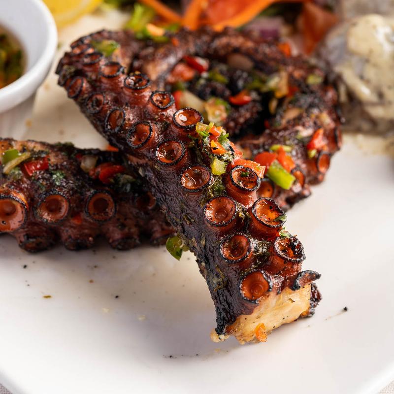 Portugues Octopus (Polvo a Legareiro) (GF) photo