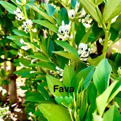 gallery photo number 6