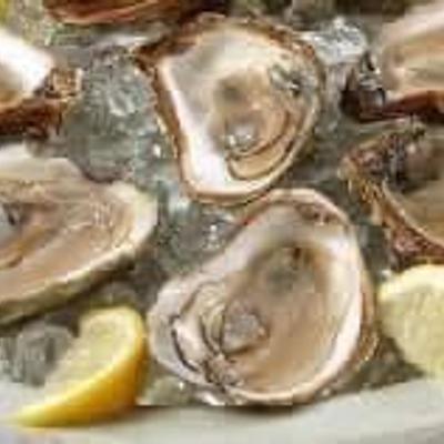 gallery photo number 26