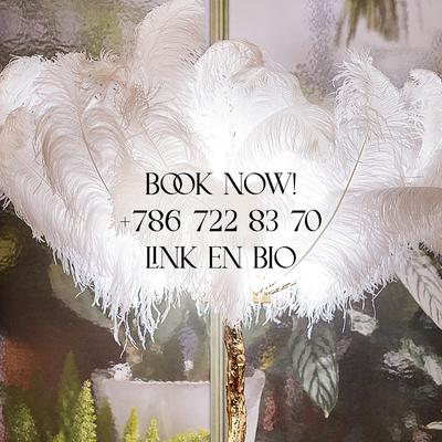Image book now and phone number.