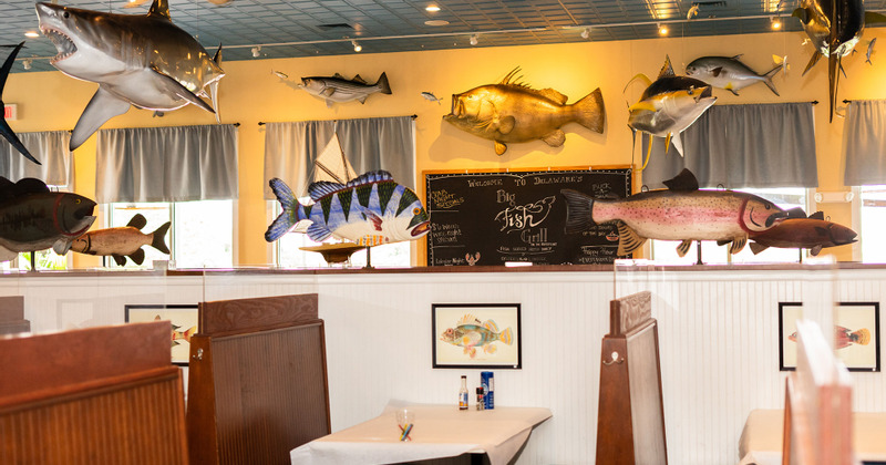 Interior, fish sculptures hanging on the wall