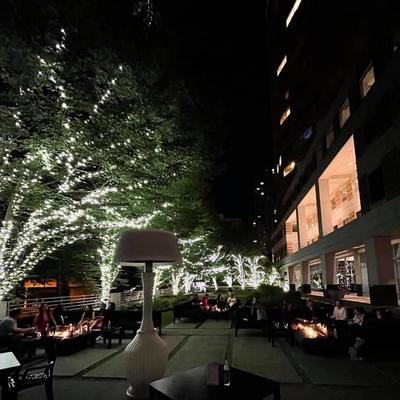 Patio at nighttime, seating area with string lights on trees.