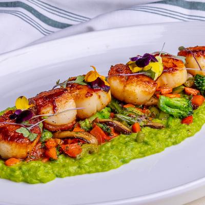 Scallops in English pea puree.