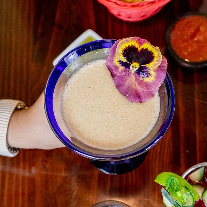 EL CATRIN MARTINI photo