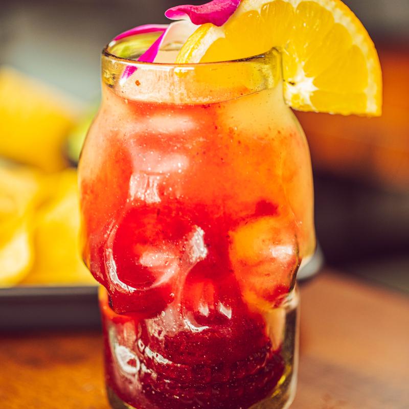 Octopus Margarita photo