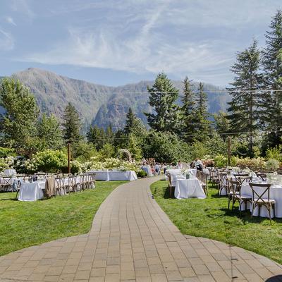 gallery photo number 214